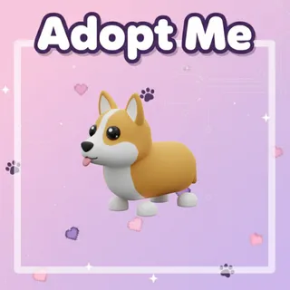 Corgi