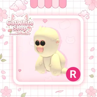 Snow Monkey R
