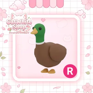 Drake R