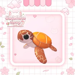 Sea Turtle