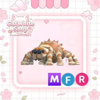 Mummy Spider MFR