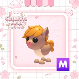 Mega Show Pony