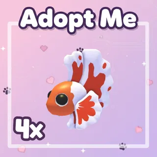 4x Orange Betta Fish