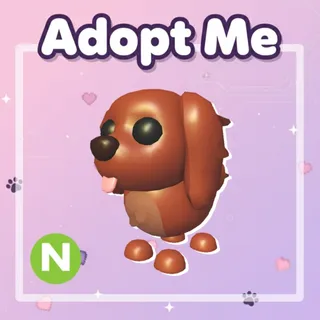Neon Irish Setter