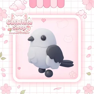 Japanese Snow Fairy