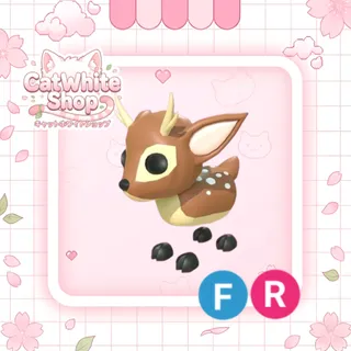 Fallow Deer FR