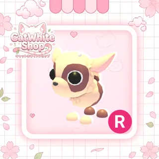 Kid Goat R