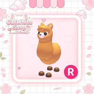 Alpaca R