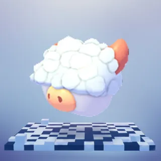 5x Aberdeen Angus Box