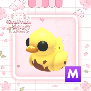Mega Dirty Ducky