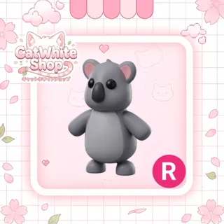 Koala R