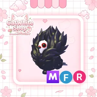 Jacobin Pigeon MFR