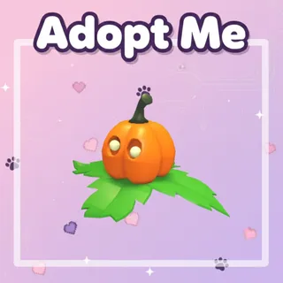 Pumpkin Friend