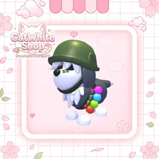 General Sheepdog