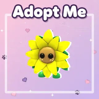 Sunflower Friend