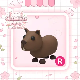 Capybara R