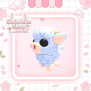 Angus Calf
