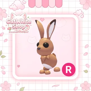 Hare R