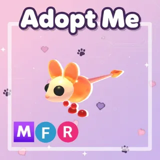 Jiggly Jerboa MFR