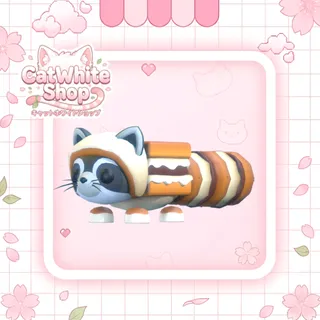 S'mores Raccoon