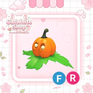 Pumpkin Friend FR