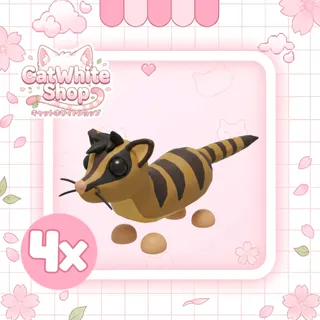 4x Banded Palm Civet
