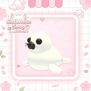 Harp Seal