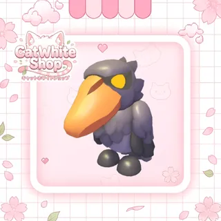 Shoebill