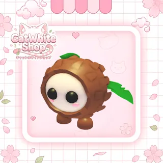 Coconut Friend