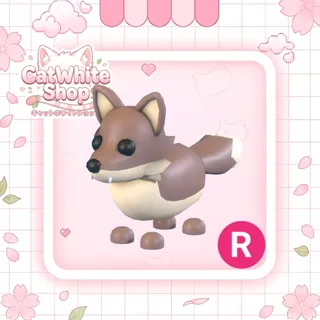 Coyote R