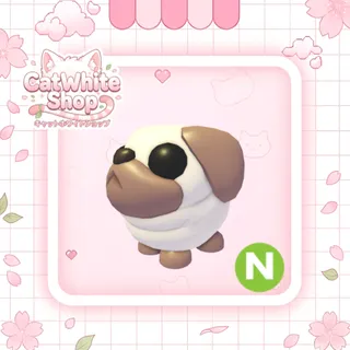 Neon Snowball Pug