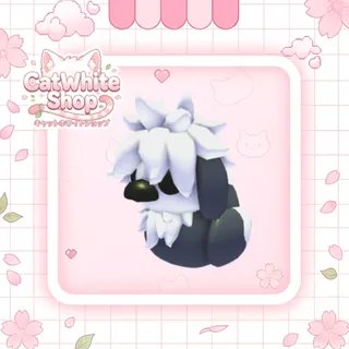 Sheepdog Ducky