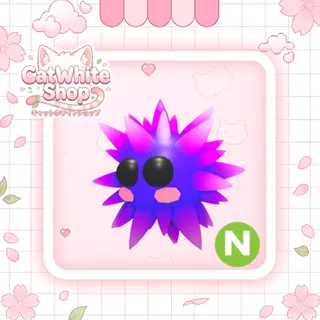 Neon Urchin