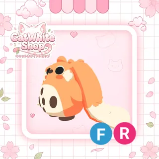 Cabbit FR