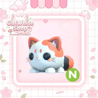 Neon Mochi Meow