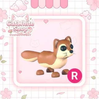 Mongoose R