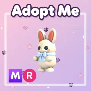 White Choccybunny MR