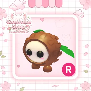 Coconut Friend R