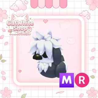 Sheepdog Ducky MR