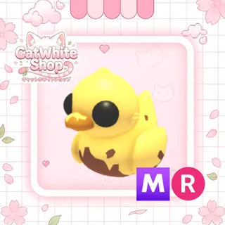 Dirty Ducky MR