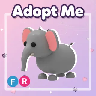 Elephant FR