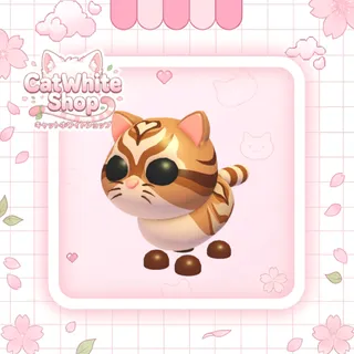 Catte