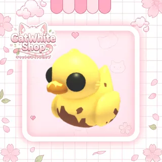 Dirty Ducky