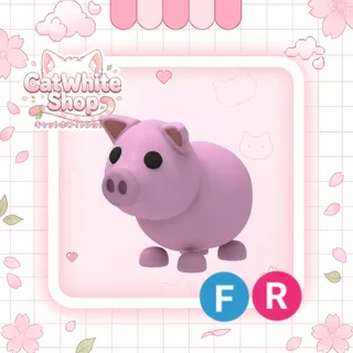 Pig FR