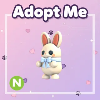 Neon White Choccybunny