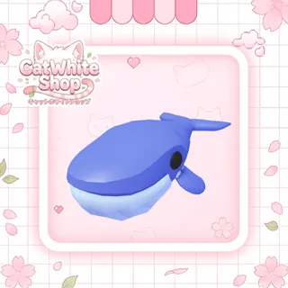 Blue Whale