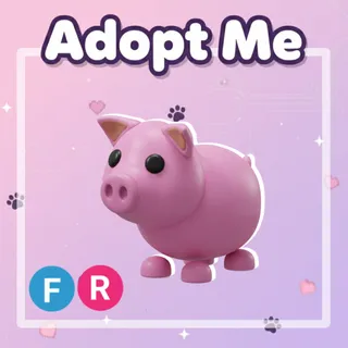 Pig FR