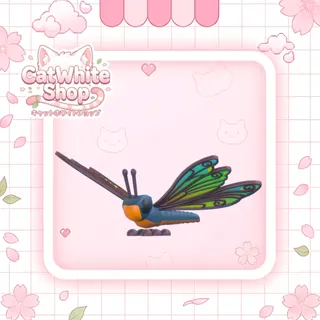 Clubtail Dragonfly