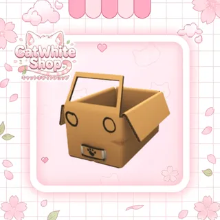 Imagination Box