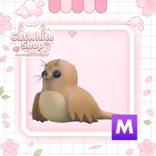 Mega Galapagos Sea Lion